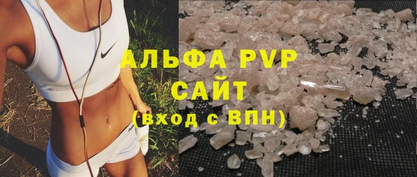 ПСИЛОЦИБИНОВЫЕ ГРИБЫ Вязники